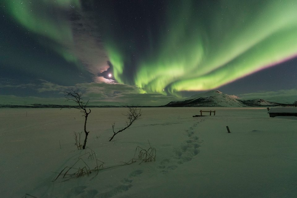 Aurora Borealis dancing with the moon por Lionel Peyraud (Switzerland).
Kilpisjarvi, Finland