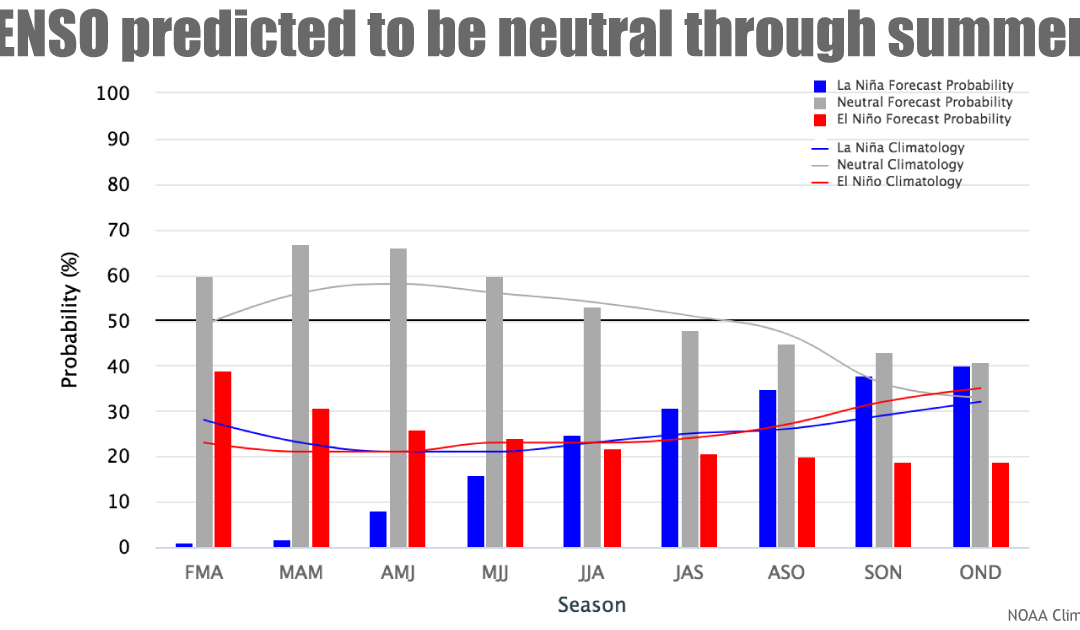 Condiciones neutras ENSO (El Niño – La Niña) al menos, hasta el verano