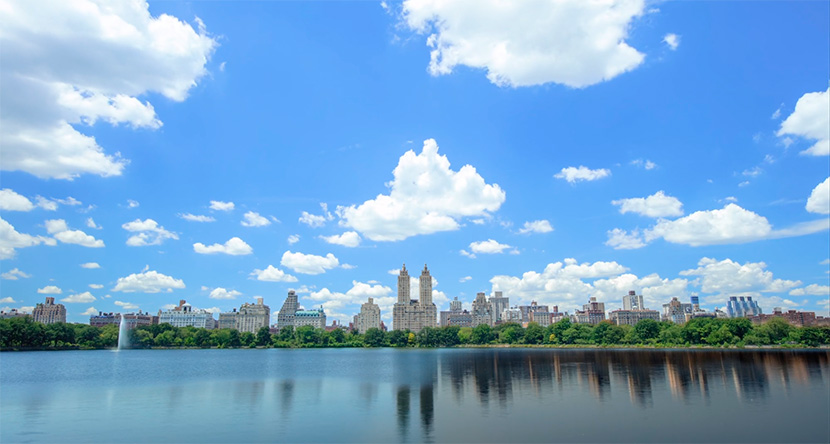 Las estaciones del año en Central Park